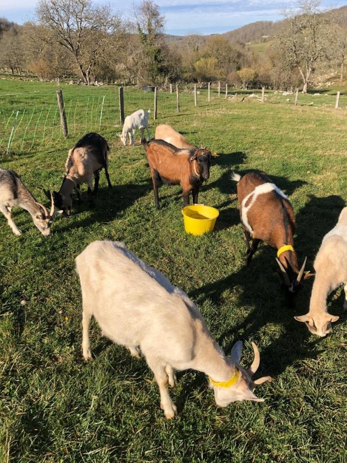 Gite A La Ferme Montesquieu-Avantes Luaran gambar